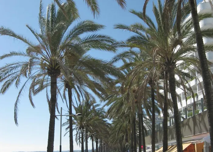 My Dream & Town * מארבלה